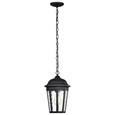 NUVO Lighting 60-5944 East River Collection Outdoor 14.5in Hanging Light, Matte Black Finish with Clear Water Glass