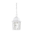 NUVO Lighting NUV-60-4931 Banyan - 1 Light - 11 in. - Outdoor Hanging with Clear Water Glass