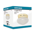 NUVO Lighting 60-6030 1-Light, 6in, Flush Mount, Small Frosted Grape Mushroom, Color retail packaging