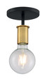 NUVO Lighting 60-7343 Ryder, 1-Light, Semi Flush Fixture, Black Finish with Brushed Brass Sockets