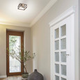NUVO Lighting 60-6482 Bliss, 2 Light, Flush Mount, Driftwood Finish with Polished Nickel Accents
