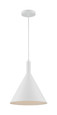 NUVO Lighting 60-7138 Lightcap, 1-Light, Large Pendant Fixture, Matte White Finish