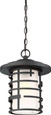 NUVO Lighting 60-6405 Lansing, 1-Light, Outdoor Hanging Lantern with Etched Glass