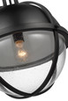 NUVO Lighting 60-7675 Lincoln, 1-Light Large Pendant, Medium Base, 60W, Matte Black Finish, Clear Seeded Glass
