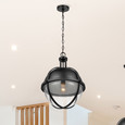 NUVO Lighting 60-7675 Lincoln, 1-Light Large Pendant, Medium Base, 60W, Matte Black Finish, Clear Seeded Glass