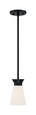 NUVO Lighting 60-7314 Caleta, 1-Light, Mini Pendant Fixture, Black Finish with Frosted Cylindrical Glass