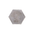 Metallics BLS8SS Bolts 1/4 X 5 Hx Lag Blt SS (Box 100)