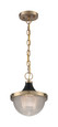 NUVO Lighting 60-7059 Faro, 1-Light, Small Pendant Fixture, Burnished Brass Finish with Black Accents, Clear Prismatic Glass