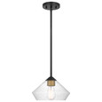 NUVO Lighting 60-7682 Starlight, 1-Light Mini Pendant, Medium Base, 60W, Matte Black Finish: Clear Seeded Glass