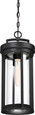 NUVO Lighting 60-6504 Huron, 1-Light, Hanging Lantern, Aged Bronze Finish with Clear Glass