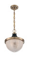 NUVO Lighting 60-7060 Faro, 1-Light, Large Pendant Fixture, Burnished Brass Finish with Black Accents, Clear Prismatic Glass