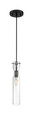 NUVO Lighting 60-6876 Spyglass, 1-Light, Mini Pendant Fixture, Black Finish with Clear Glass