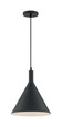 NUVO Lighting 60-7128 Lightcap, 1-Light, Large Pendant Fixture, Matte Black Finish