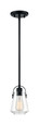 NUVO Lighting 60-7106 Skybridge, 1-Light, Mini Pendant Fixture, Matte Black Finish with Clear Glass