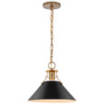 NUVO Lighting 60-7523 Outpost, 1-Light, Medium Pendant, Matte Black with Burnished Brass