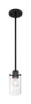 NUVO Lighting 60-7270 Sommerset, 1-Light, Mini Pendant Fixture, Matte Black Finish with Clear Glass