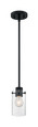 NUVO Lighting 60-7270 Sommerset, 1-Light, Mini Pendant Fixture, Matte Black Finish with Clear Glass