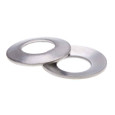 Metallics JBWSS14 Washers 1/4 Belleville SS (Jar 100)