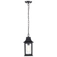 NUVO Lighting 60-5958 Stillwell Collection Outdoor 14in Hanging Light, Matte Black Finish with Clear Water Glass