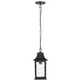NUVO Lighting 60-5958 Stillwell Collection Outdoor 14in Hanging Light, Matte Black Finish with Clear Water Glass