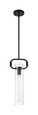 NUVO Lighting 60-7153 Teresa, 1-Light, Cylinder Pendant Fixture, Matte Black Finish with Clear Glass
