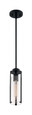 NUVO Lighting 60-7160 Marina, 1-Light, Mini Pendant Fixture, Matte Black Finish with Clear Glass