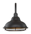NUVO Lighting 60-7012 Newbridge, 1-Light, Large Outdoor Wall Sconce Fixture, Dark Bronze Finish with Gold Accents