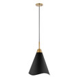 NUVO Lighting 60-7473 Tango, 1-Light, Medium Pendant, Matte Black with Burnished Brass