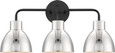 NUVO Lighting 60-6773 Sloan, 3 Light, Vanity, Matte Black Finish with Polished Nickel Shade