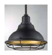 NUVO Lighting 60-7013 Newbridge, 1-Light, Small Pendant Fixture, Dark Bronze Finish with Gold Accents