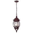 NUVO Lighting 60-895 Central Park, 3 Light, 20in, Hanging Lantern with Clear Beveled Glass