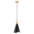 NUVO Lighting 60-7476 Tango, 1-Light, Large Pendant, Matte Black with Burnished Brass