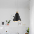 NUVO Lighting 60-7476 Tango, 1-Light, Large Pendant, Matte Black with Burnished Brass