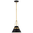 NUVO Lighting 60-7767 Adina 1-Light Small Pendant, Matte Black and Natural Brass Finish