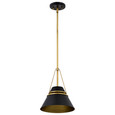 NUVO Lighting 60-7767 Adina 1-Light Small Pendant, Matte Black and Natural Brass Finish