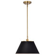NUVO Lighting 60-7411 Dover, 1-Light, Medium Pendant, Black with Vintage Brass