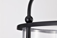 NUVO Lighting 60-7946 Yorktown 4-Light Pendant, Matte Black Finish, Clear Glass