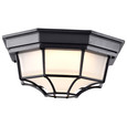 NUVO Lighting 62-1400 LED Spider Cage Fixture, Black Finish with Frosted Glass