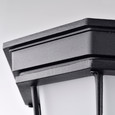 NUVO Lighting 62-1400 LED Spider Cage Fixture, Black Finish with Frosted Glass