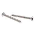 Metallics TP501SFC Screws 6 x 3/4 FH Hx Pin TR SMS 18-8 (100 pcs) Metallics TP501SFC Screws 6 x 3/4 FH Hx Pin TR SMS 18-8 (100 pcs)
