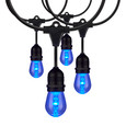 SATCO Lighting S11290 24Ft, 12-S14 Lamp, LED String Light, Starfish IOT, RGBTW