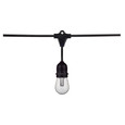 SATCO Lighting S11291 48Ft, 15-S14 Lamp, LED String Light, Starfish IOT, RGBTW