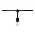 Satco Lighting SAT-S8032 60Ft - Commercial LED String Light - Includes 24-S14 bulbs - 2200K - 120 Volts