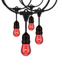 Satco Lighting SAT-S8033 48Ft - LED String Light - 15-S14 lamps - 12 Volts - RGBW with Infrared Remote