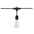 SATCO Lighting S8036 24Ft, LED String Light, 12 Vintage ST19 bulbs Included, 120V
