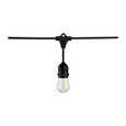 SATCO Lighting S8037 2 Pack, 24Ft, LED String Light, Includes 12-S14 bulbs, 2200K, 120V