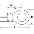 Thomas & Betts A18-8 Ring Terminal