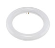 SATCO Lighting S16500 LED Circline, 11W, T9, 3000K, G10Q Base, 120-277V, Type B, Ballast Bypass