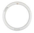 SATCO Lighting S16505 LED Circline, 16W, T9, 6500K, G10Q Base, 120-277V, Type B, Ballast Bypass