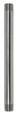 Thomas & Betts NPL1X12SS 1X12 RIGID CONDUIT NIPPLE 304SS